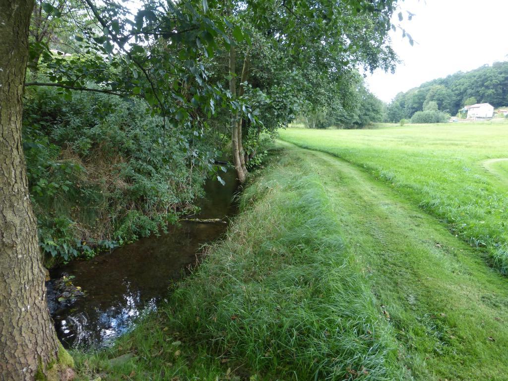 Ferienwohnungen Zur Muehle Mossautal Bagian luar foto