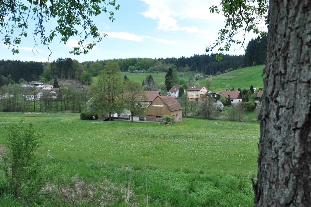 Ferienwohnungen Zur Muehle Mossautal Bagian luar foto